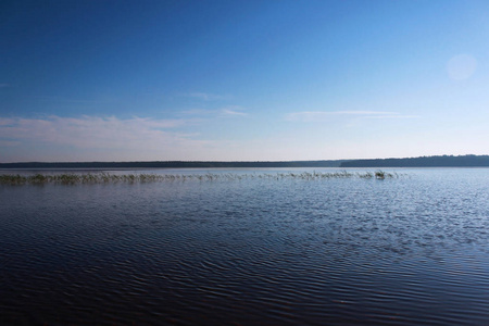 维索金斯科耶湖在夏天与白云的倒影在水中。 列宁格勒俄罗斯地区