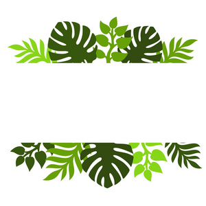 植物的主题。热带棕榈叶的剪影，怪物，丛林叶和一个白色的方形文本。矢量图。