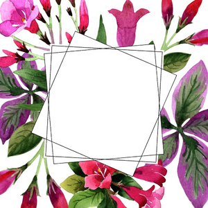 水彩粉红威格拉佛罗里达花卉。 花卉植物花。 框架边框装饰广场。 背景纹理包装图案框架或边框的水花野花。