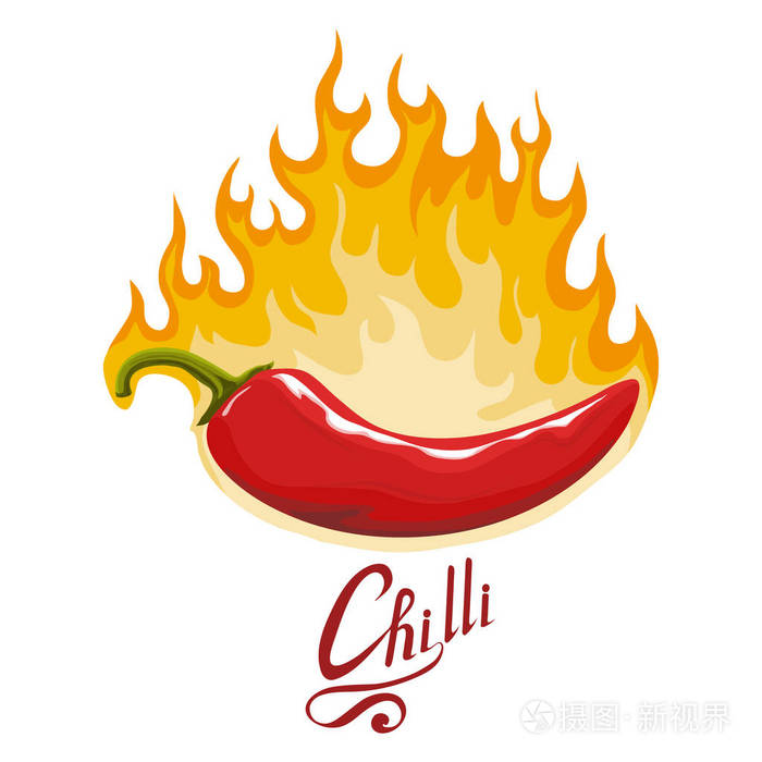 香料辣椒分离在白色背景上. 天然健康食品. 矢量图形设计