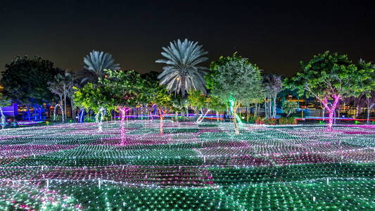 有棕榈树的草。 新开放的迪拜辉光花园白天到夜间过渡时间是一种艺术建筑的状态，具有环境友好的建筑，创造各种结构从可回收的产品。