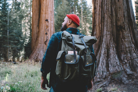 参考译文时髦的家伙游迷在周末积极地探索红杉国家公园的自然风光徒步旅行者带着旅游背包在森林中的老巨树附近徒步度假