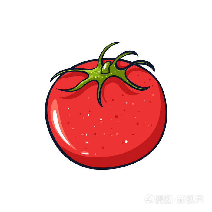 一个红色番茄的矢量手绘插图可爱的卡通图标用于印刷网络移动和信息