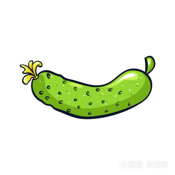 绿色黄瓜的矢量手绘插图.可爱的卡通图标.