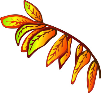 矢量秋季黄色的山梨叶和红色浆果。叶植物植物园的花叶..孤立的插图元素。矢量叶的背景，纹理，包装模式，框架或边界。