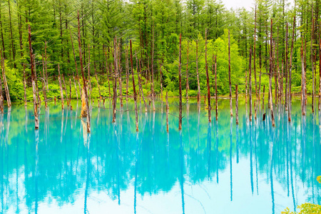 温泉城外的蓝色池塘是以深蓝色命名的，它归因于溶解在水中的天然矿物。