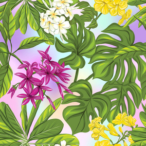 无缝模式, 背景与热带植物 龟背竹, 鹤, 叶子花
