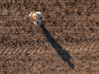 夏季日落时分，雄农在收割的小麦茬地上驾驶遥控无人机飞行