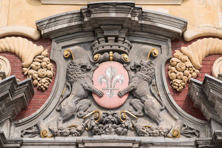 s blazon, coat of arms, with flowers of lily and lions, France 