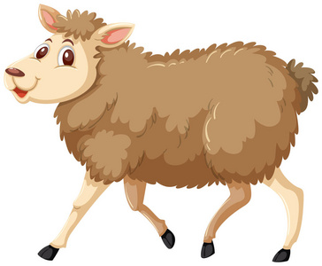 白色背景插图上的一只羊