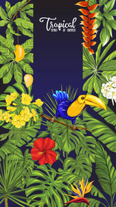 海报, 横幅, 明信片的模板, 热带花卉和植物和鸟类