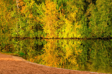 美丽的秋天风景优美的公园里的树木和湖泊
