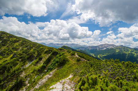 风景优美的山景，前景有灌木丛