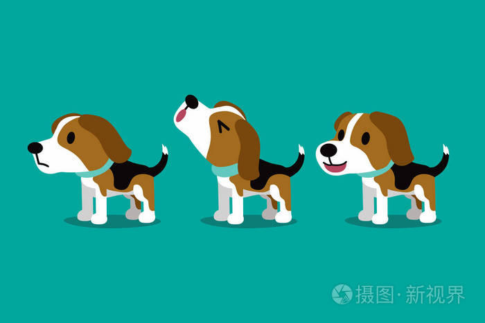 一套矢量卡通人物可爱的比格犬姿势的设计.