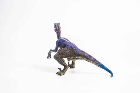 恐龙，白色背景上的Velociraptor。