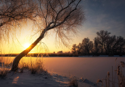 美丽的冬季景观。树的树枝上覆盖着霜冻。雾状的早晨日出。五彩缤纷的夜晚，明亮的阳光洒过河流或湖泊。