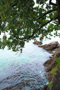 克罗地亚的类型。 亚得里亚海奥帕蒂亚市的石质海岸。