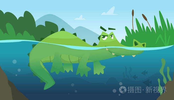 鳄鱼在水中鳄鱼两栖爬行动物野生绿色愤怒野生动物游泳矢量卡通背景