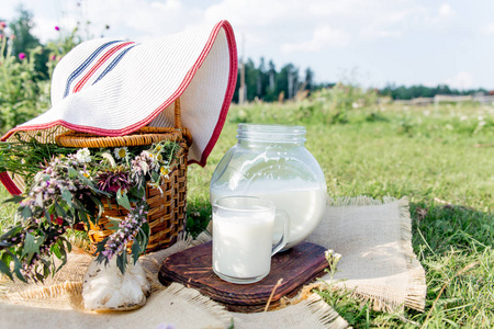 牛奶罐和 chamomiles 与草地上的玻璃