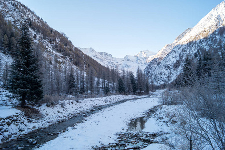 雪中的山景