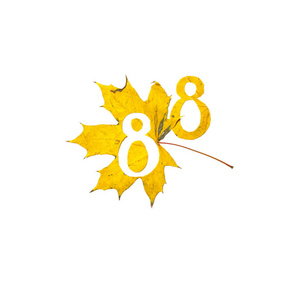 秋天的数字。 数字8是从一个美丽的黄色枫叶雕刻在白色的背景上。 在纸上，字母的字母图案