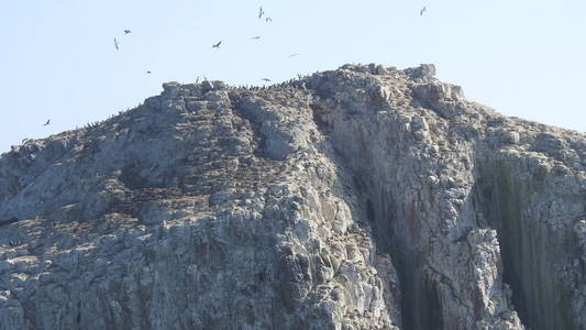 风景海滩岩石悬崖海边和自然