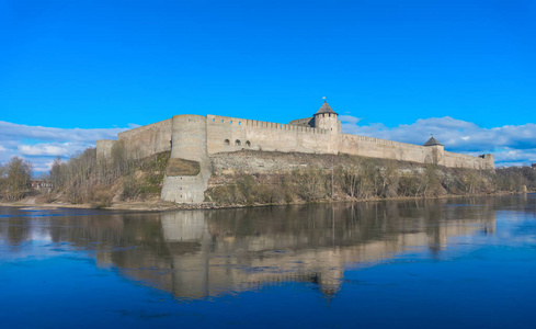 伊万哥罗德要塞在晴天纳尔瓦河列宁格勒地区俄罗斯。 堡垒是由伊凡三世于1492年建立的。