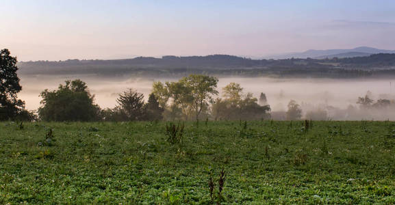 晨雾中的树木和村庄捷克景观