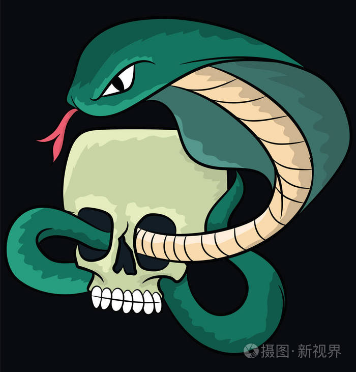 眼镜蛇头骨的插图 股票插图插画-正版商用图片12r8q7-摄图新视界