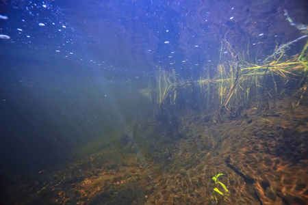 水下水的质地水下照片淡水生态系统水的质地背景