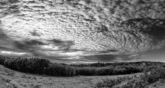 令人叹为观止的鲭鱼天空圆丘在夏季天空景观中形成黑白图像