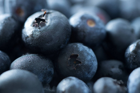 新鲜蓝莓背景与薄雾图片