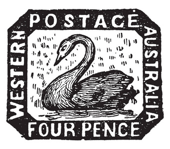 西澳大利亚四便士邮票在1854年复古线绘图或雕刻插图。