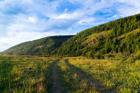 路到田，去山，阿尔泰共和国，俄罗斯..草间一条弯弯曲曲的路，在夕阳西下，在山前有了森林