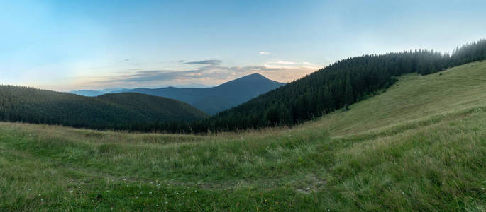 夏天在山地牧场的清晨。自然全景景观。喀尔巴阡山山在 8月, 西部乌克兰。山坡上覆盖着茂密的绿色冷杉林。背景模糊