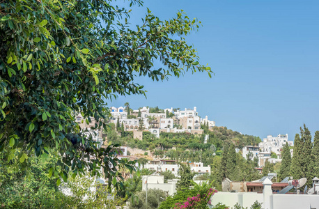 典型的爱琴海建筑房屋的全景，白色的Bodrumturkey。