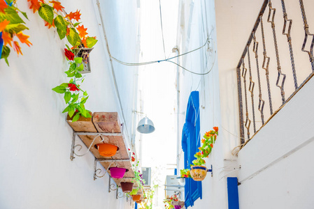 花盆在狭窄的街道上鲁姆街道的墙上，白色的房子在希腊风格的博德鲁姆。土耳其。