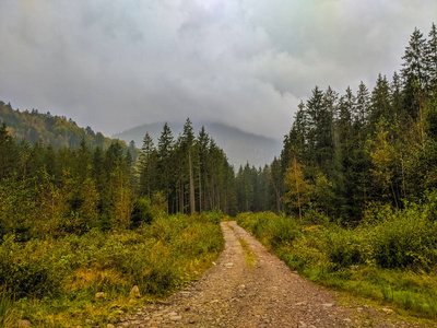 秋季薄雾中的喀尔巴阡山景观图片
