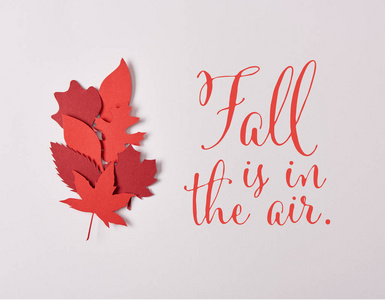 在白色背景上，带有秋天在空中灵感的红色手工叶子的俯视图