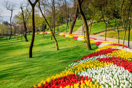 在埃米尔根公园的传统郁金香节，一个位于萨里耶区的历史城市公园。游客和当地人参观并消磨时间。