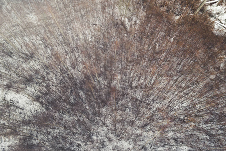 冬日雪覆盖森林的鸟瞰图