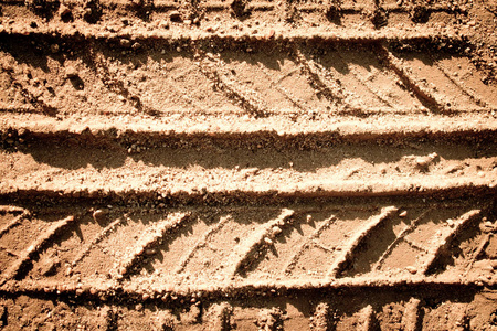 沙粒的胎迹纹理呈棕色