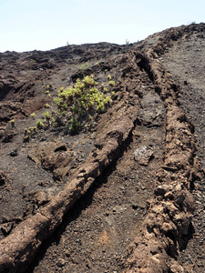 卡尔德拉流经熔岩塞拉内格拉火山伊莎贝拉岛加拉帕戈斯厄瓜多尔