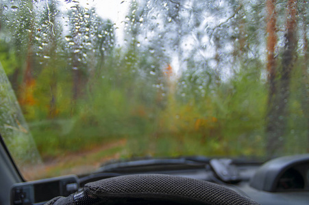 雨点落在车窗上。秋季雨林景观