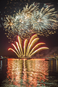 烟花在夜的天空在河