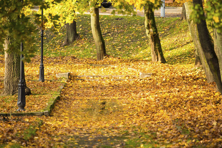 美丽的秋天公园，落叶