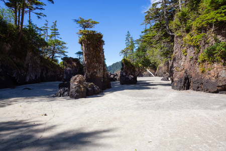 美丽的海景岩石海滩在太平洋海岸。 摄于圣何塞夫湾，斯科特角省公园，北温岛，加拿大BC。