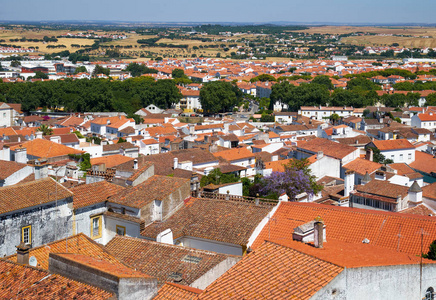 从教堂屋顶俯瞰埃沃拉大教堂Se周围的城市住宅。 葡萄牙