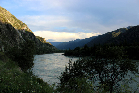 阿尔泰山河景观