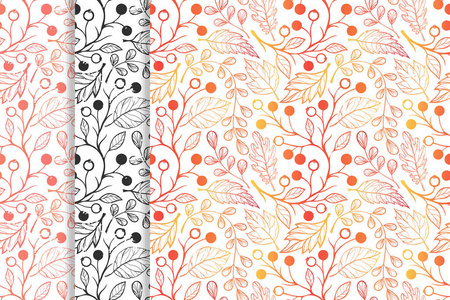 收集秋季图案与叶子浆果和花卉元素的秋季颜色。无缝图案完美的打印传单，明信片，织物包装纸和更多。矢量秋季背景。
